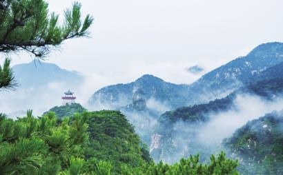 竞技宝登录